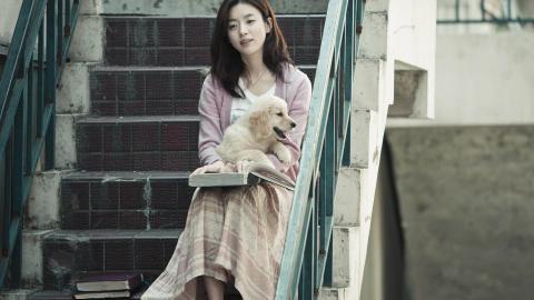 人与动物友好图片大全