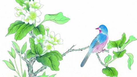 工笔花鸟画图片2