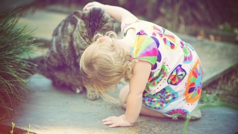 人与动物友好图片大全