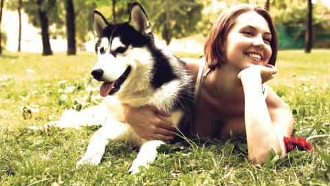 人与动物友好图片大全