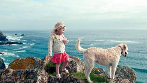 人与动物友好图片大全