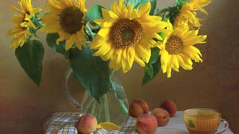 花卉油画作品欣赏