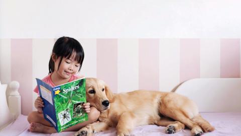 人与动物友好图片大全