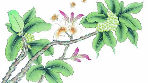 工笔花鸟画图片2