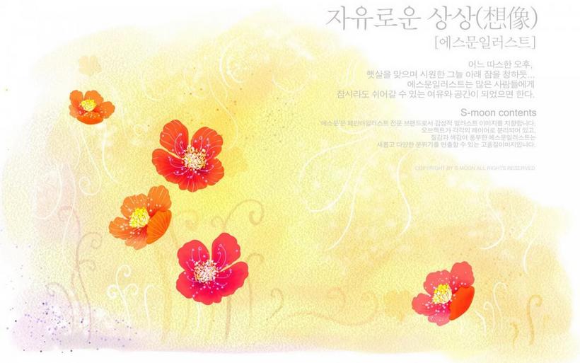 韩国手绘花朵图片大全