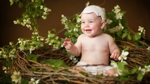 可爱婴儿宝宝农场图片