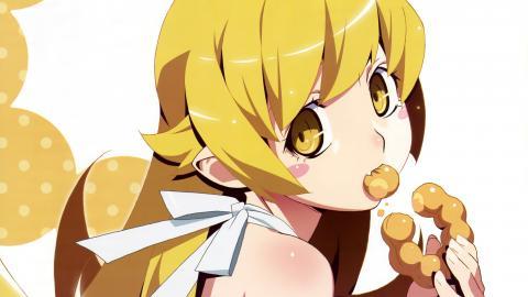 伪物语动漫图片