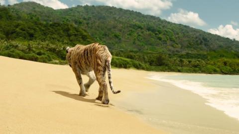 少年派奇幻漂流剧照图片