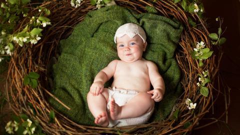 可爱婴儿宝宝农场图片