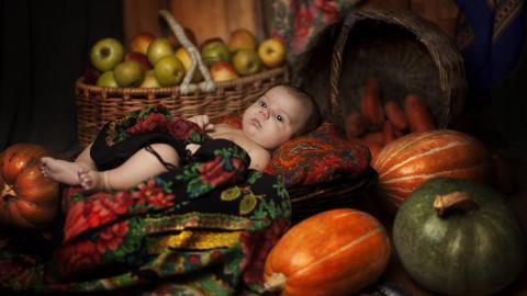 可爱婴儿宝宝农场图片