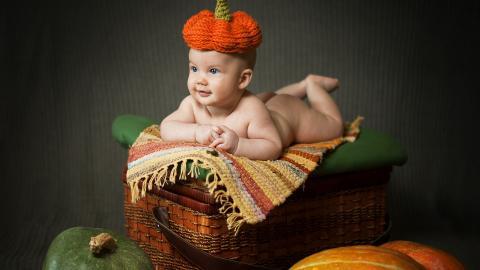 可爱婴儿宝宝农场图片