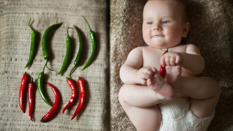 可爱婴儿宝宝农场图片