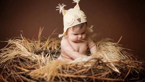 可爱婴儿宝宝农场图片