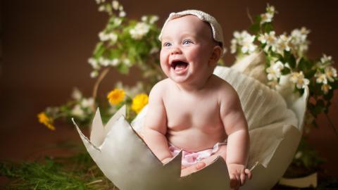 可爱婴儿宝宝农场图片