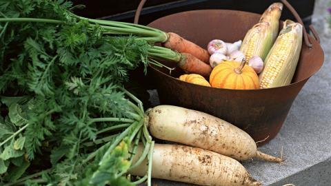 新鲜绿色健康蔬菜图片