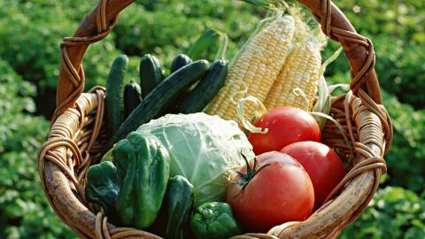 新鲜绿色健康蔬菜图片