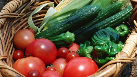 新鲜绿色健康蔬菜图片