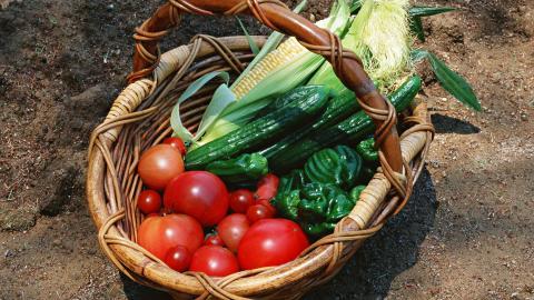 新鲜绿色健康蔬菜图片