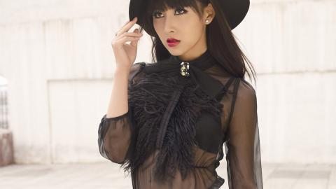 内地演员贾青图片