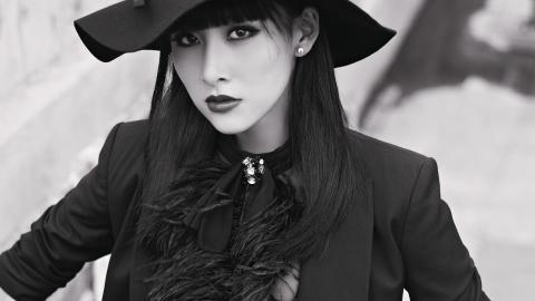 内地演员贾青图片