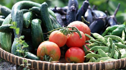 新鲜绿色健康蔬菜图片