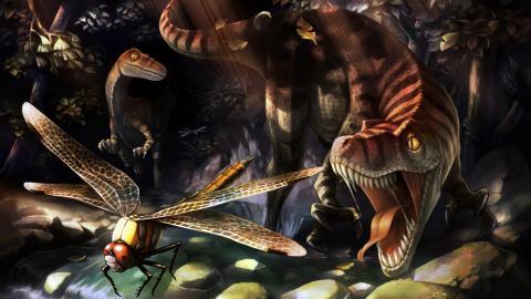 龙之皇冠游戏图片大全