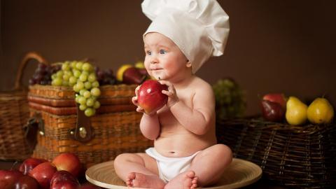 婴儿美食家图片