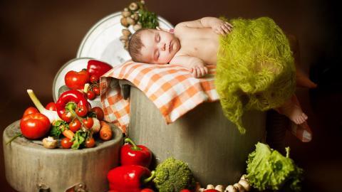 婴儿美食家图片