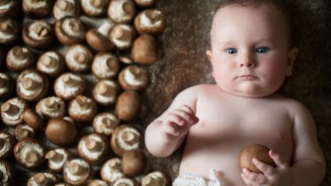 婴儿美食家图片
