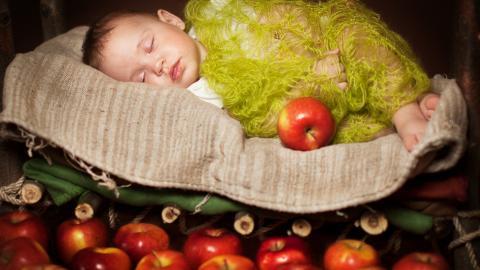 婴儿美食家图片
