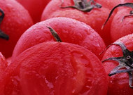 诱人的西红柿(番茄)图片大全