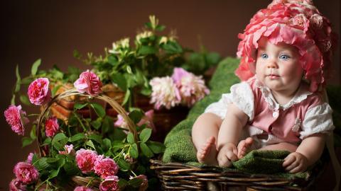 婴儿美食家图片