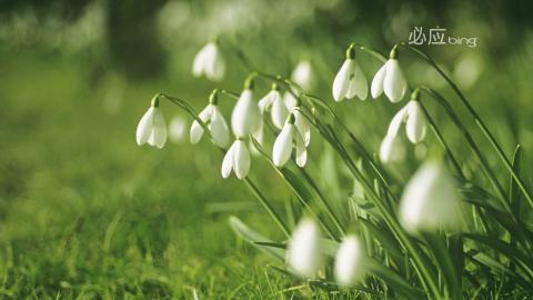 必应精选中国风景图片