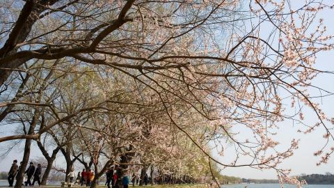 北京颐和园风景图片