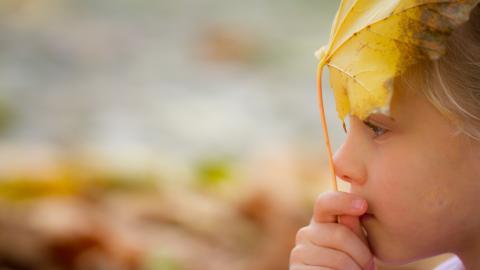 秋天的儿童图片