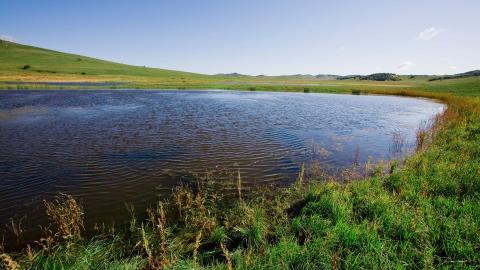 乌兰布统美丽湖泊图片大全