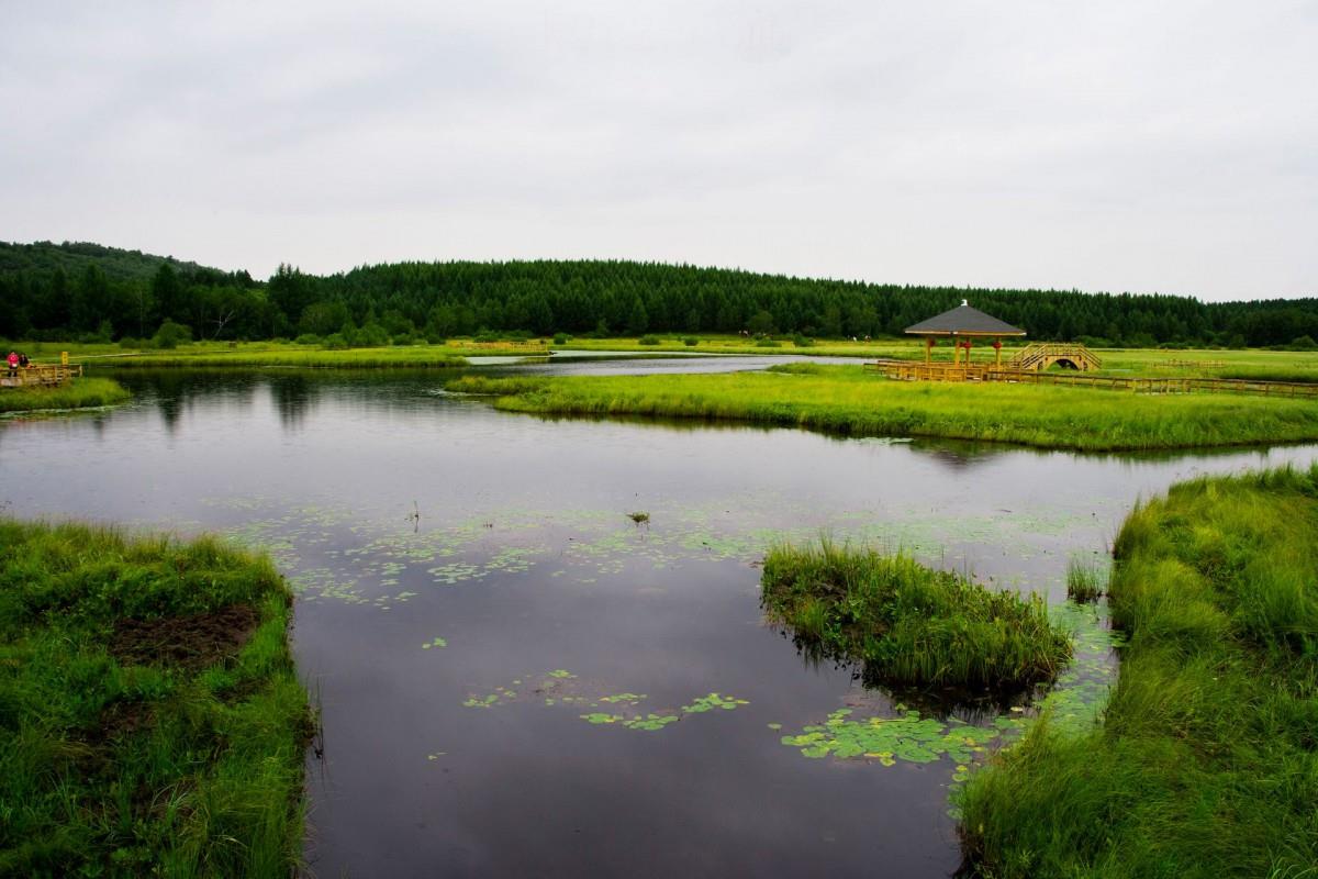 乌兰布统美丽湖泊图片大全