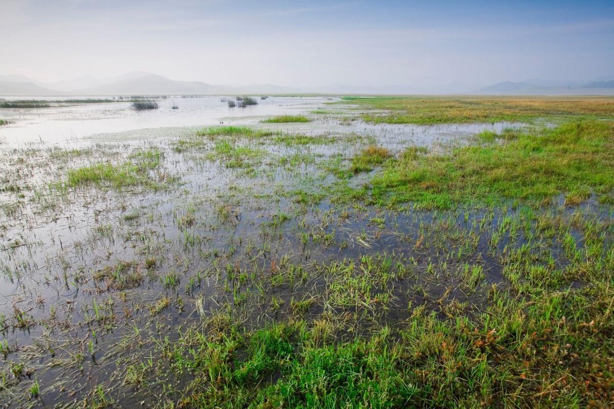 乌兰布统美丽湖泊图片大全