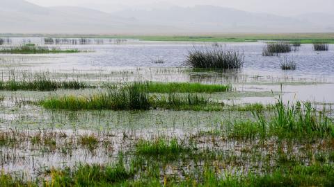 乌兰布统美丽湖泊图片大全