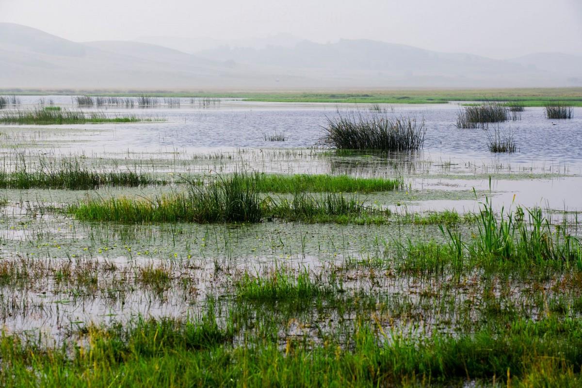 乌兰布统美丽湖泊图片大全