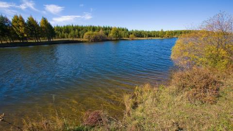 乌兰布统美丽湖泊图片大全