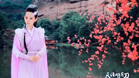 天涯明月刀电视剧图片
