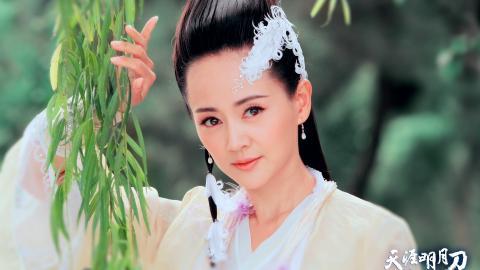 天涯明月刀电视剧图片