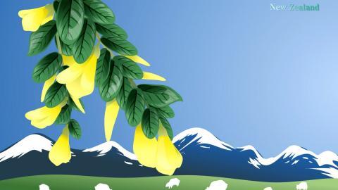 各国国花手绘图片