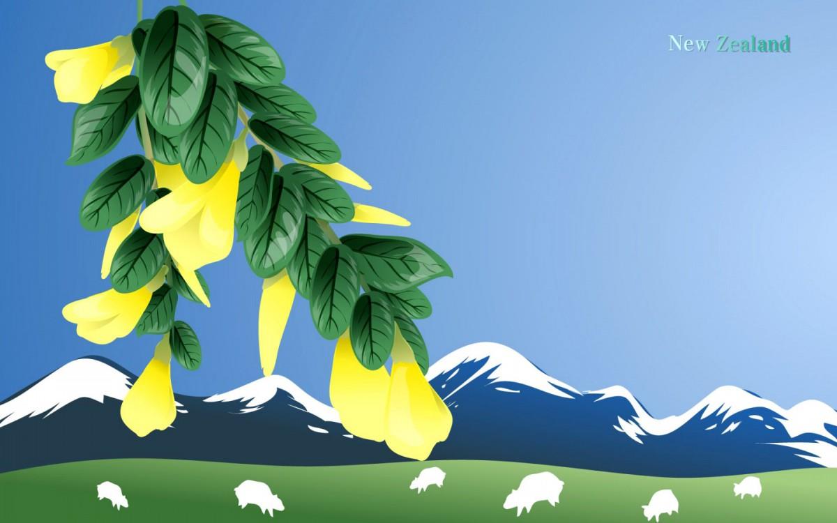 各国国花手绘图片