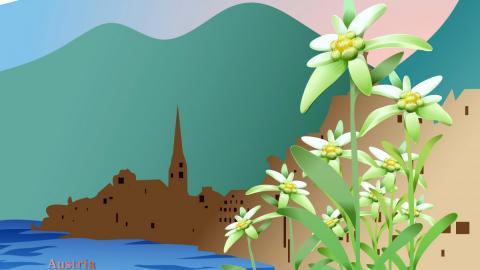 各国国花手绘图片