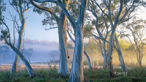 澳大利亚风景图片(bing)大全