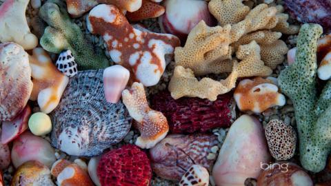 澳大利亚风景图片(bing)大全