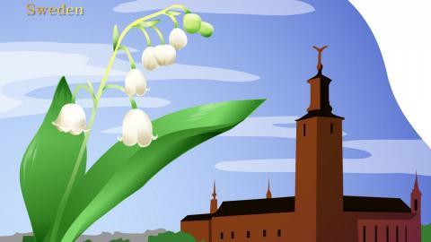 各国国花手绘图片