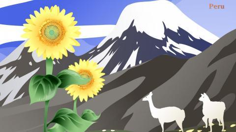 各国国花手绘图片